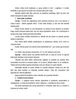 Diplomdarbs 'Starpkultūru saskarsme uzņēmumā', 33.