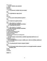 Diplomdarbs 'Starpkultūru saskarsme uzņēmumā', 55.