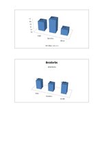 Prezentācija 'Japāna', 3.