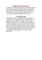 Konspekts 'Apģērbs', 3.