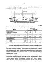 Diplomdarbs 'Naftas produktu izkraušanas tehnoloģija', 24.