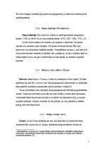 Referāts 'Datorvīrusi', 5.