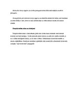 Konspekts 'Globalizācija, tās teorijas. Stratifikācija', 4.