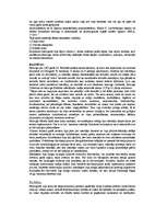 Referāts 'Kurzeme 17.gadsimtā', 3.