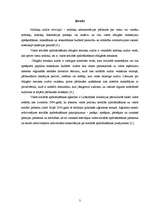 Referāts 'Valsts sociālās apdrošināšanas obligāto iemaksu audits', 3.