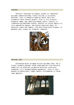 Konspekts 'Liepājas Svētās Trīsvienības baznīcas iekārtas mākslinieciskais raksturojums', 8.