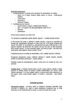 Konspekts 'Dzīvokļu likumdošana', 4.