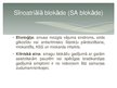 Prezentācija 'Lēkmjveidīgi sirds ritma traucējumi. Bradiaritmijas', 14.