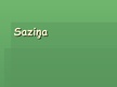 Prezentācija 'Saziņa', 1.