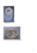 Referāts 'Kristāli un to audzēšana', 31.