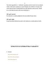 Referāts 'ES nacionālā valūta - eiro', 10.