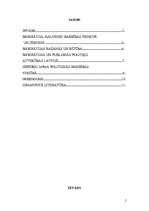 Referāts 'Valsts ierēdņa loma un nozīme valsts funkcionēšanas mehānismā', 2.