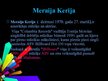 Prezentācija 'Soulmūzika', 6.