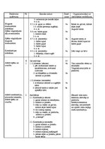 Konspekts 'Sporta stundas konspekts 9.klasei', 3.