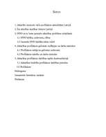 Referāts 'Alkoholisma problēma', 1.