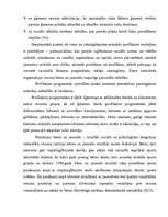 Referāts 'Alkoholisma problēma', 17.