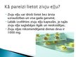 Prezentācija 'Zivju eļļa', 6.