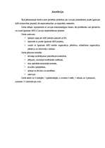 Referāts 'Jaunā Ignalinas AES kā ceļš uz Latvijas elektroenerģijas deficīta risinājumu', 24.