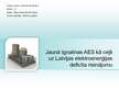Referāts 'Jaunā Ignalinas AES kā ceļš uz Latvijas elektroenerģijas deficīta risinājumu', 40.