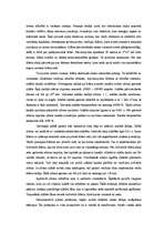 Referāts 'Zibens', 4.