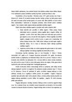 Referāts 'Zibens', 5.