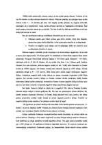 Referāts 'Zibens', 7.