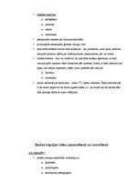 Konspekts 'Veselības veicināšana skolā', 3.