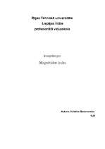 Konspekts 'Magnētiskais lauks', 1.