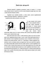 Konspekts 'Magnētiskais lauks', 10.