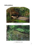 Konspekts 'Džona Everta Milē gleznas „Ofēlija” apraksts', 6.