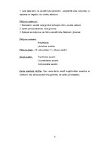 Referāts 'Bērni sociālā riska ģimenēs', 4.