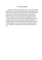 Referāts 'ADSL darbības analīze', 55.