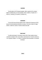 Referāts 'ADSL darbības analīze', 65.