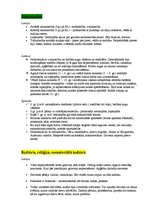 Konspekts 'Baltijas valstu vēsturiski hronoloģiskā tabula', 3.