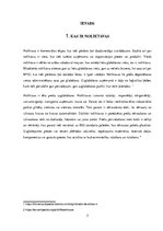 Referāts 'Noliktavas procesu lokāciju secīga izvietošana', 3.