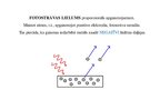 Prezentācija 'Fotoelektriskais efekts', 4.