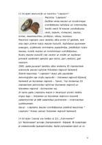 Referāts 'Iepazīsti Valmieras rajonu!', 4.