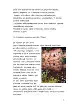 Referāts 'Iepazīsti Valmieras rajonu!', 5.