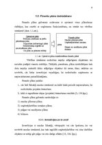 Referāts 'Finanšu plānošana', 9.