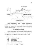 Referāts 'Finanšu plānošana', 15.