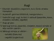 Prezentācija 'Augi', 2.
