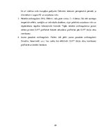 Referāts 'Hroniskas venozas mazspējas attīstības ietekmējošie faktori skolotāju vidū', 28.