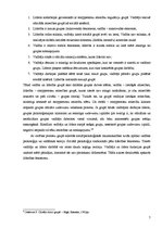 Referāts 'Līderības fenomens sociālajā psiholoģijā', 7.