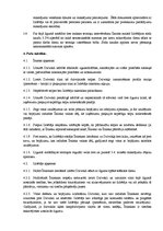 Paraugs 'Lietvedības dokumentu paraugi', 9.