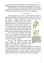 Konspekts 'Mansards - parametri un konstrukcija', 10.