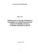 Diplomdarbs 'Psihosociālo faktoru ietekme uz nodarbināto darbspējām Silenes robežapsardzības ', 1.
