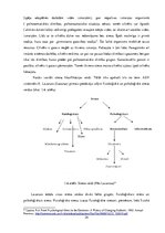 Diplomdarbs 'Psihosociālo faktoru ietekme uz nodarbināto darbspējām Silenes robežapsardzības ', 20.