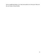 Diplomdarbs 'Netradicionālas naktsmītnes Vidzemes plānošanas reģionā', 61.