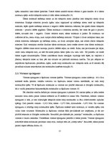 Referāts 'Dīvainu ūdens īpašību teorētiska un eksperimentāla izpēte', 13.