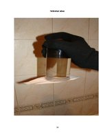 Referāts 'Dīvainu ūdens īpašību teorētiska un eksperimentāla izpēte', 24.